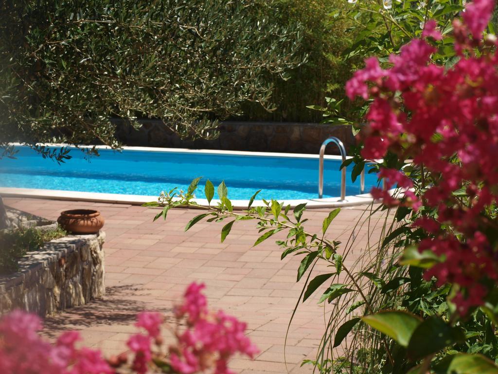 Apartments Dumicic 수페타르스카 드라가 외부 사진